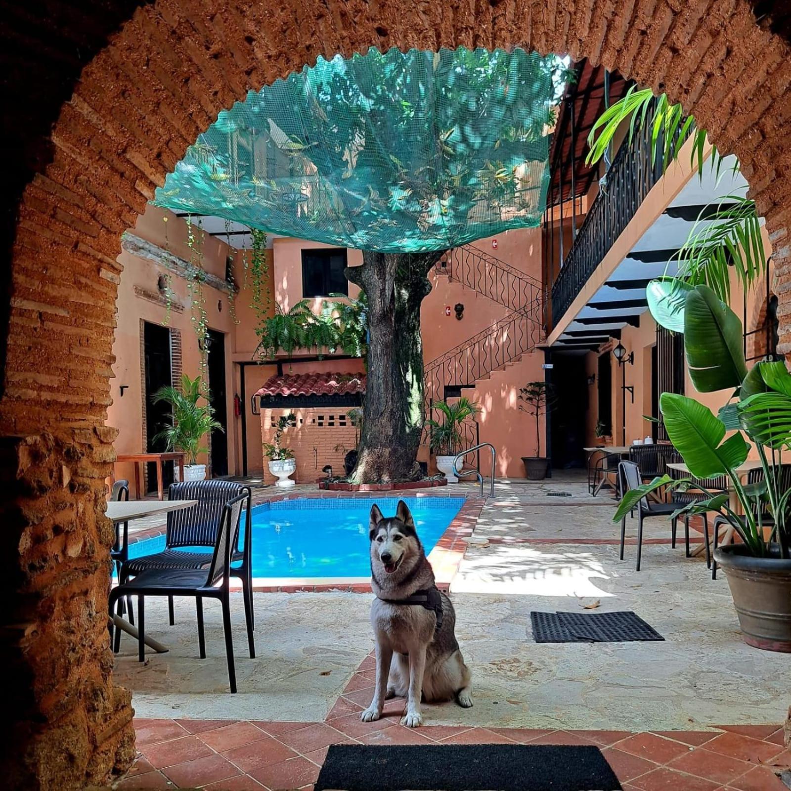 Historic Colonial Boutique Hotel Pool Jacuzzi Bar Restaurant By Aa Group Santo Domingo Buitenkant foto